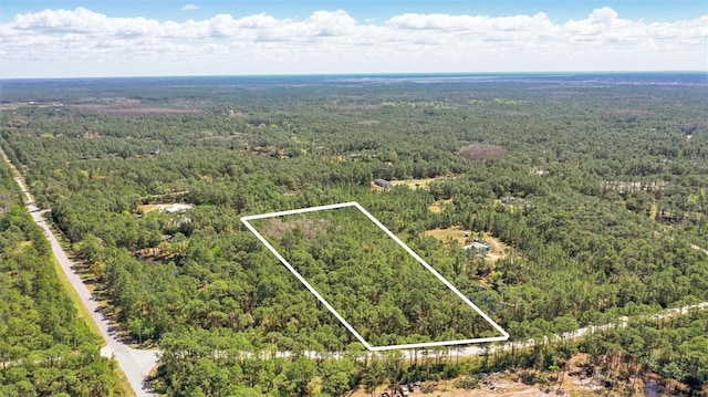 1185 Gopher Slough Rd, Mims FL, 32754 land for sale