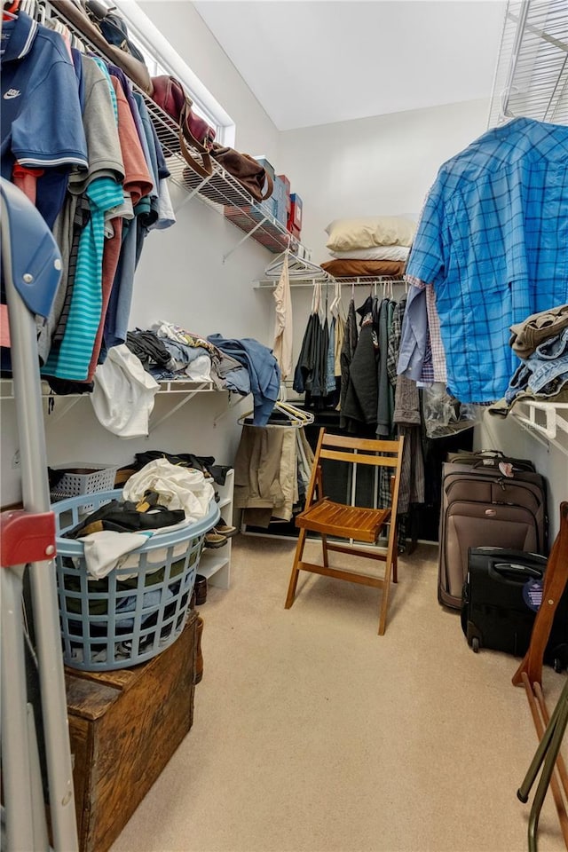 spacious closet featuring carpet flooring