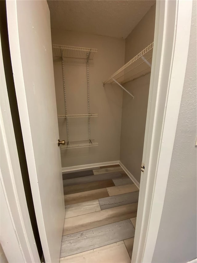 spacious closet featuring wood finished floors