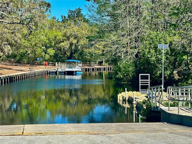 water view featuring a boat dock