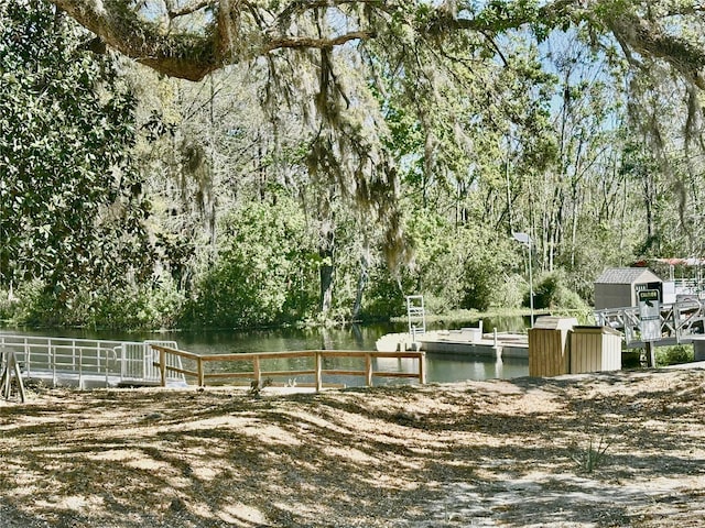 surrounding community with a view of trees, a dock, and a water view