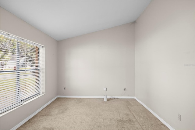 spare room featuring baseboards and carpet flooring