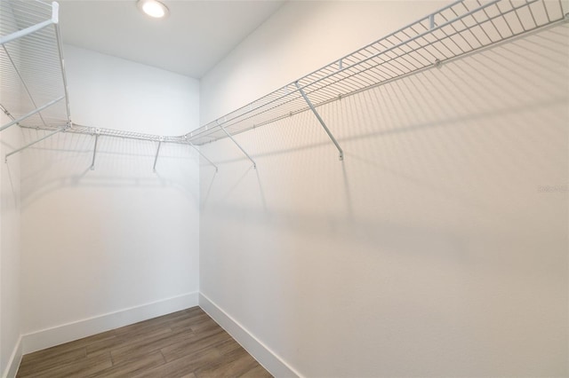 walk in closet featuring wood finished floors