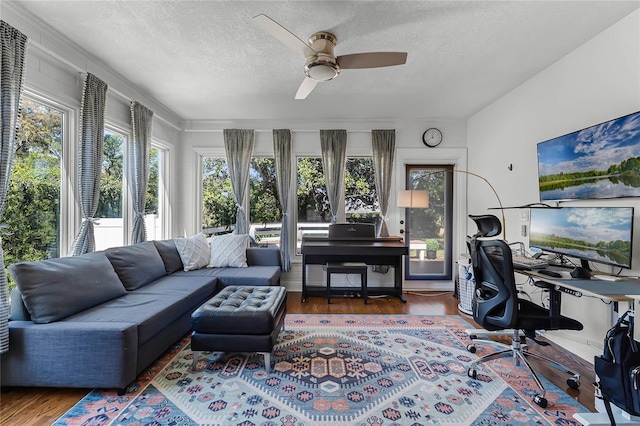 office with a ceiling fan, wood finished floors, and a textured ceiling