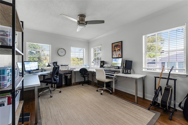 home office featuring plenty of natural light, a textured ceiling, crown molding, and ceiling fan