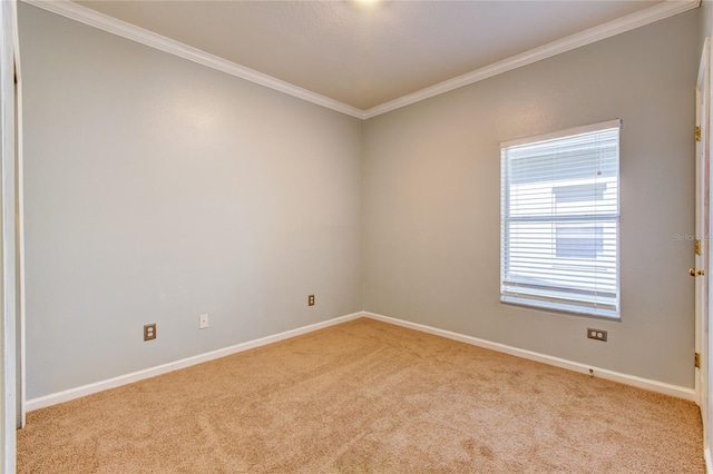 carpeted empty room with crown molding and baseboards