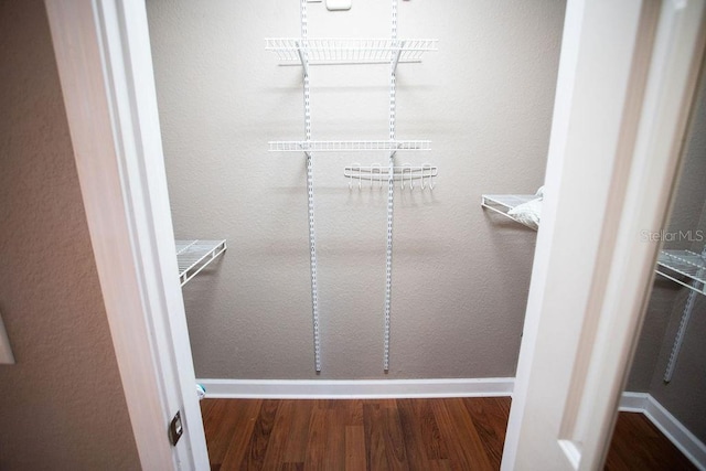 walk in closet featuring wood finished floors