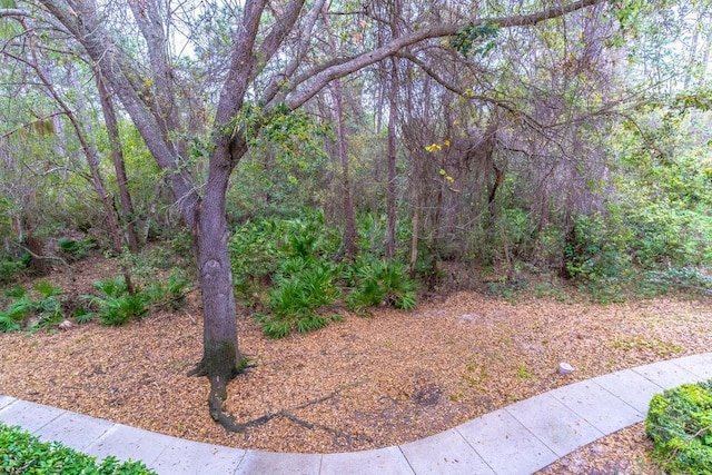 view of yard featuring a forest view