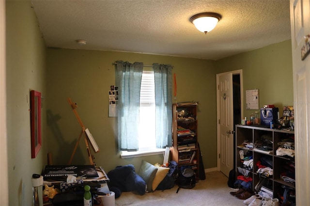 interior space with carpet flooring and a textured ceiling