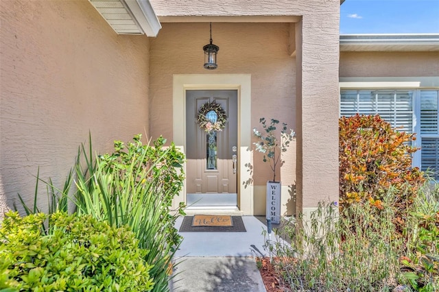 view of exterior entry featuring stucco siding