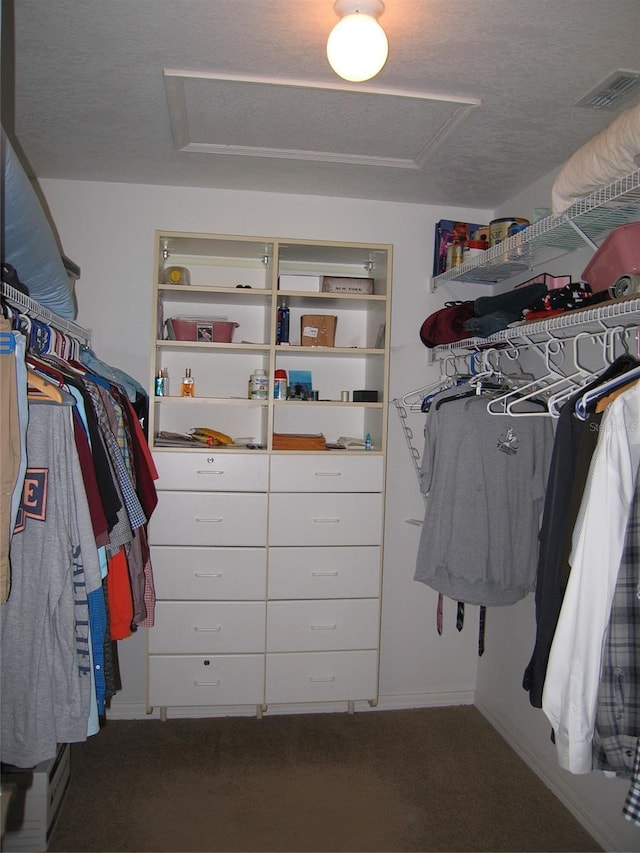 spacious closet featuring visible vents, attic access, and carpet floors