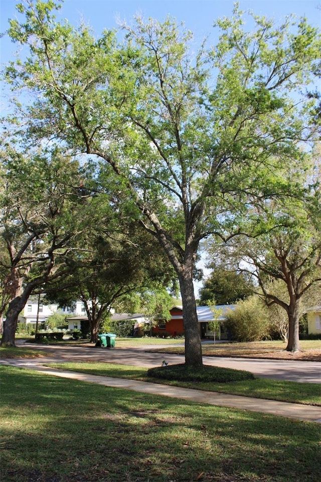 view of home's community featuring a yard