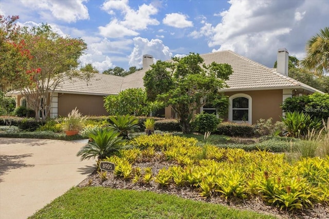 8905 S Bay Dr, Orlando, FL 32819 - photo 4