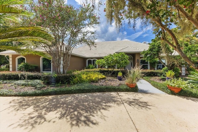 8905 S Bay Dr, Orlando, FL 32819 - photo 64