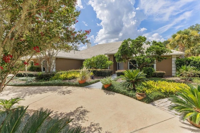 8905 S Bay Dr, Orlando, FL 32819 - photo 1
