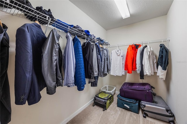 spacious closet with carpet floors