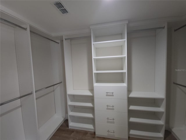 walk in closet with visible vents and dark wood-style flooring