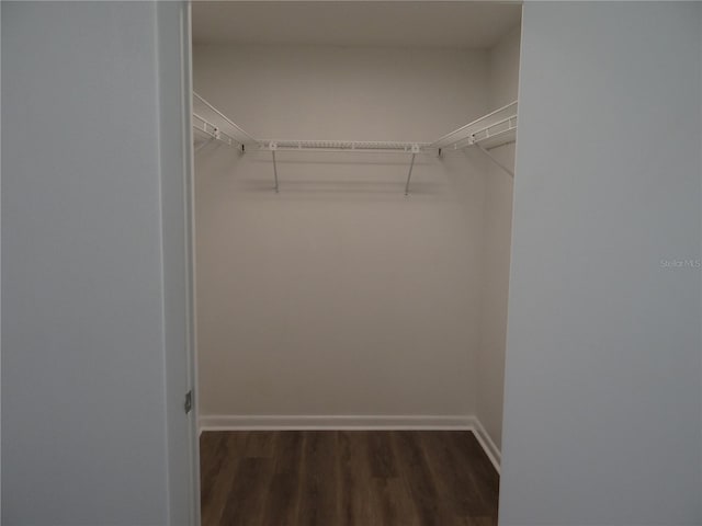 spacious closet featuring dark wood-style flooring