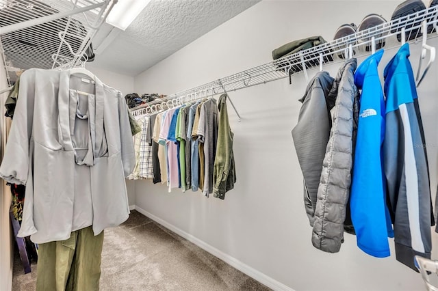 spacious closet with carpet flooring