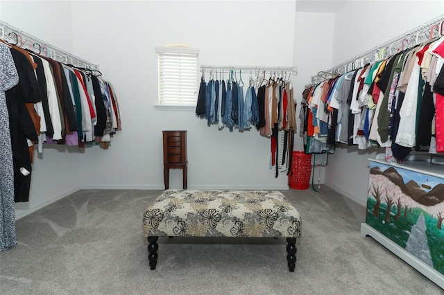 walk in closet featuring carpet flooring