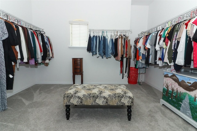 2351 Kelbrook Ct, Oviedo, FL 32765 - spacious closet with carpet flooring