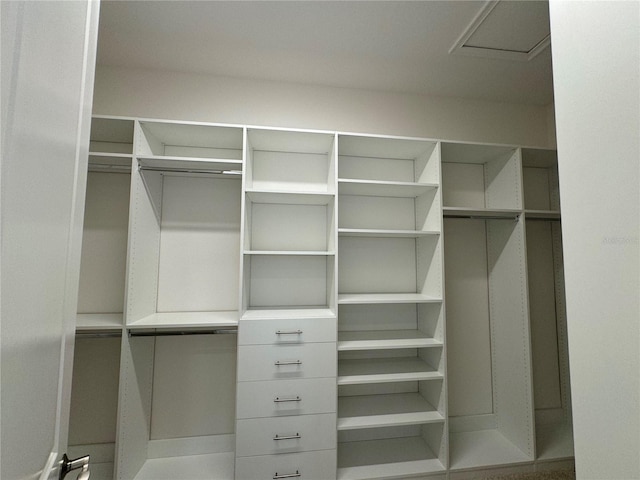 view of walk in closet