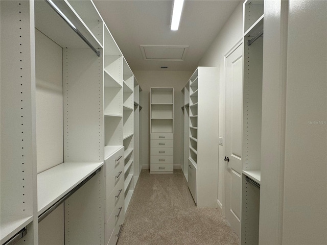 walk in closet featuring light carpet and attic access