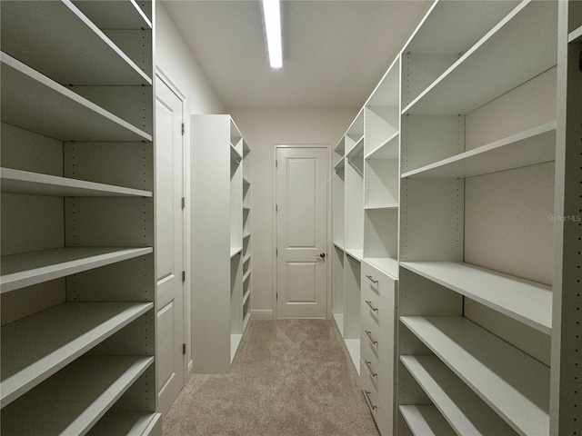 walk in closet featuring carpet