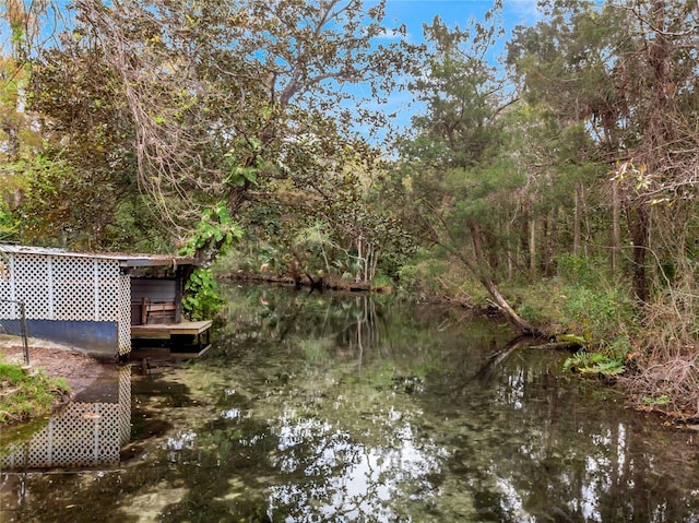 view of yard featuring a forest view and a water view