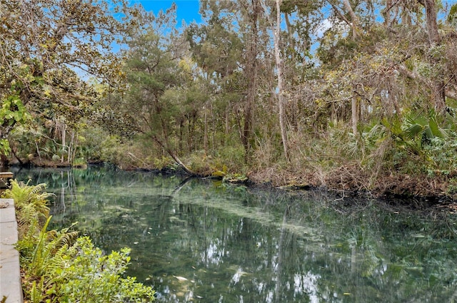 view of local wilderness featuring a forest view and a water view