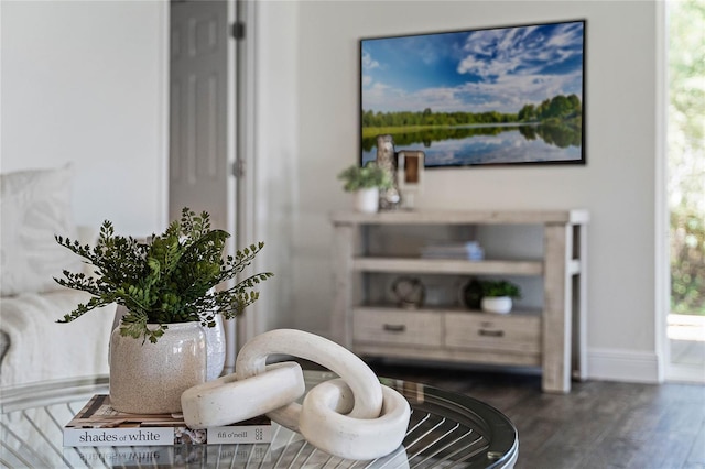 details with baseboards and wood finished floors