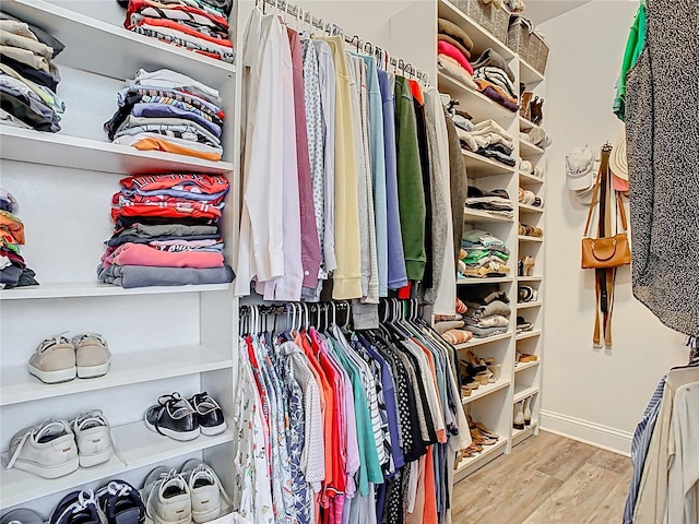 spacious closet featuring wood finished floors