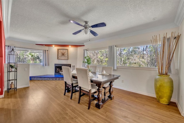 dining space with baseboards, a fireplace with raised hearth, crown molding, and light wood finished floors