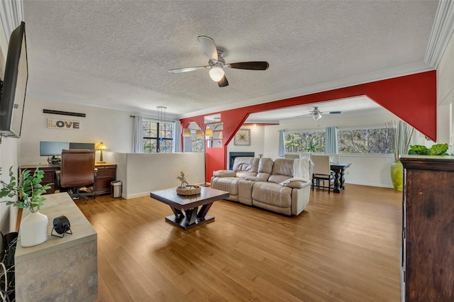 living room with crown molding, wood finished floors, baseboards, and a textured ceiling