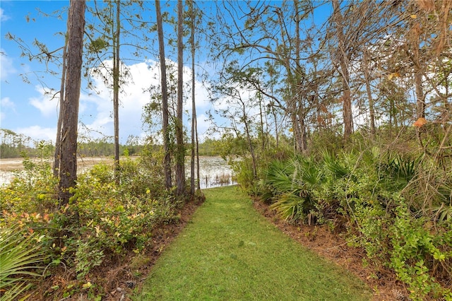 view of yard with a water view