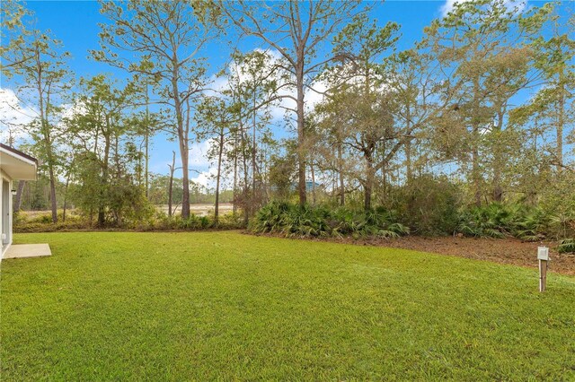 30041 Redoak Ave, Eustis, FL 32736 - photo 35
