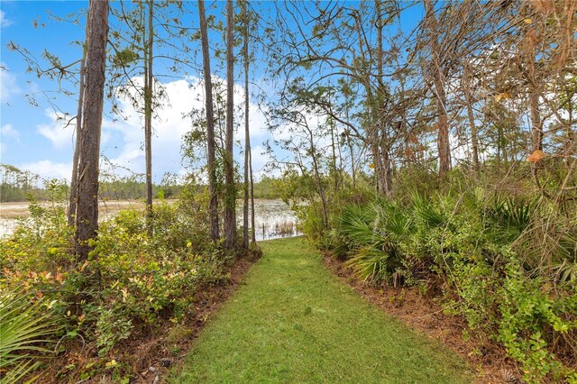 30041 Redoak Ave, Eustis, FL 32736 - photo 36
