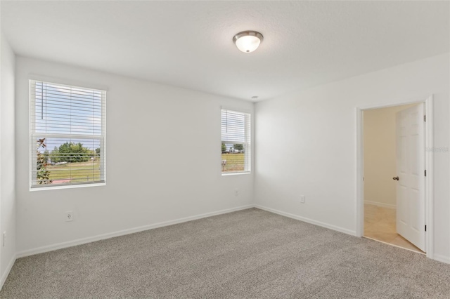 800 Griffon Ave, Lake Alfred, FL 33850 - unfurnished room with light colored carpet and baseboards