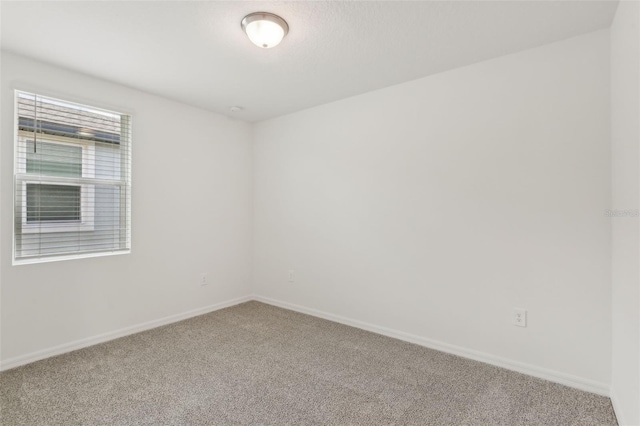 800 Griffon Ave, Lake Alfred, FL 33850 - empty room with carpet floors and baseboards