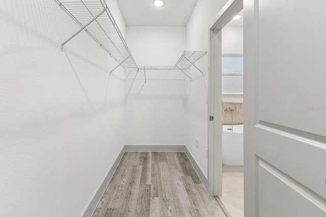 15369 SW 60th Cir, Ocala, FL 34473 - walk in closet with wood finished floors