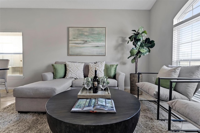 living room with baseboards