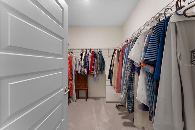 walk in closet featuring carpet floors