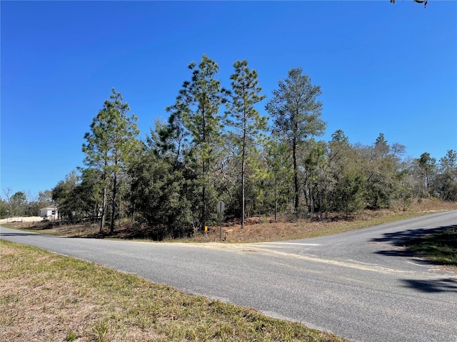 6715 N Airmont Dr, Dunnellon FL, 34433 land for sale