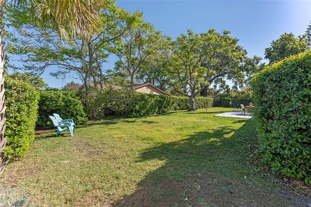 view of yard featuring a patio and fence