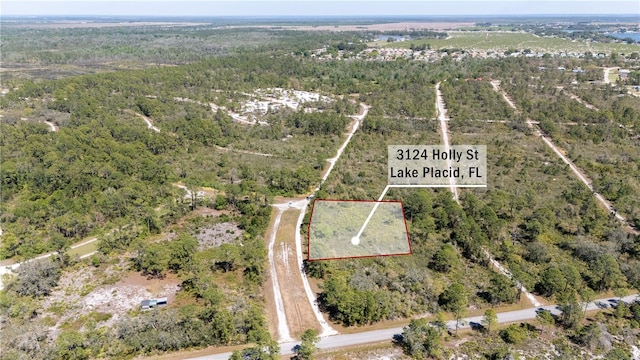 Listing photo 2 for 3124 Holly Ter, Lake Placid FL 33852