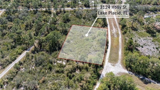 Listing photo 3 for 3124 Holly Ter, Lake Placid FL 33852