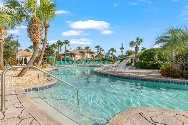 pool featuring a patio area