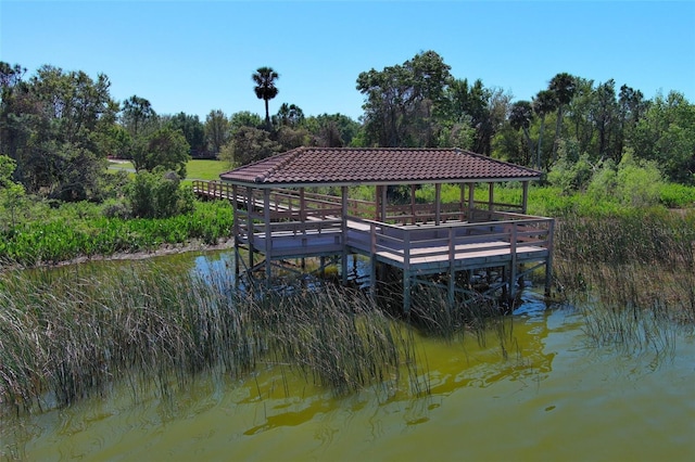 dock area with a water view