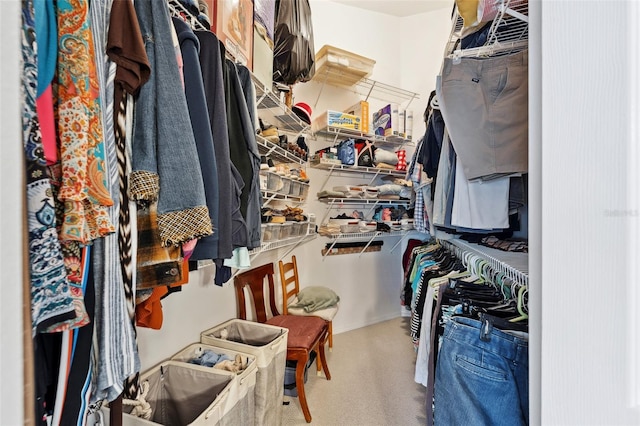 view of spacious closet