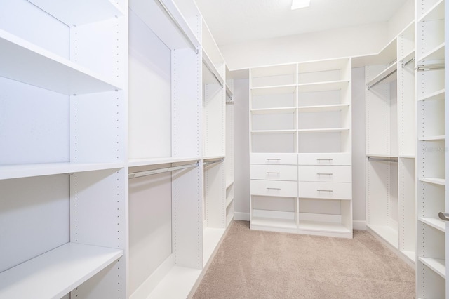 spacious closet with light carpet